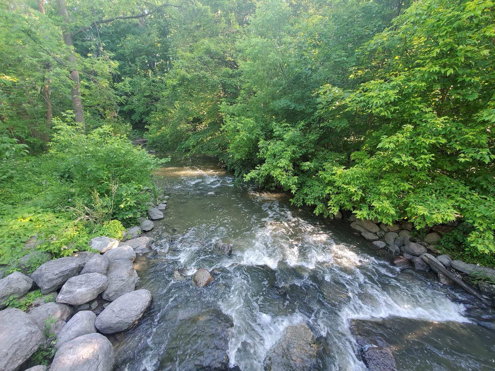 Northwood Park
