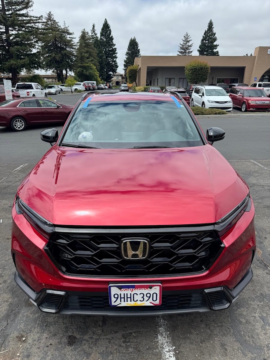 Carvita Auto Glass, photo 2