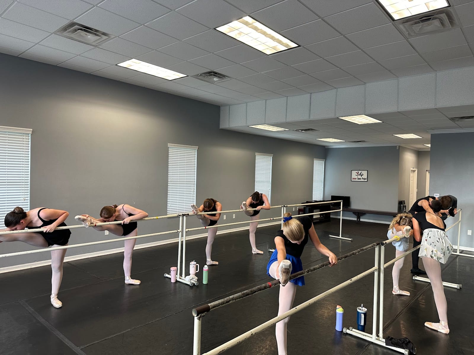 Jansen Dance Project, photo 2