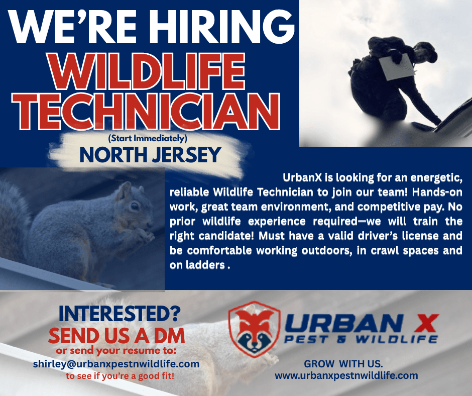 UrbanX Pest & Wildlife Removal, photo 2