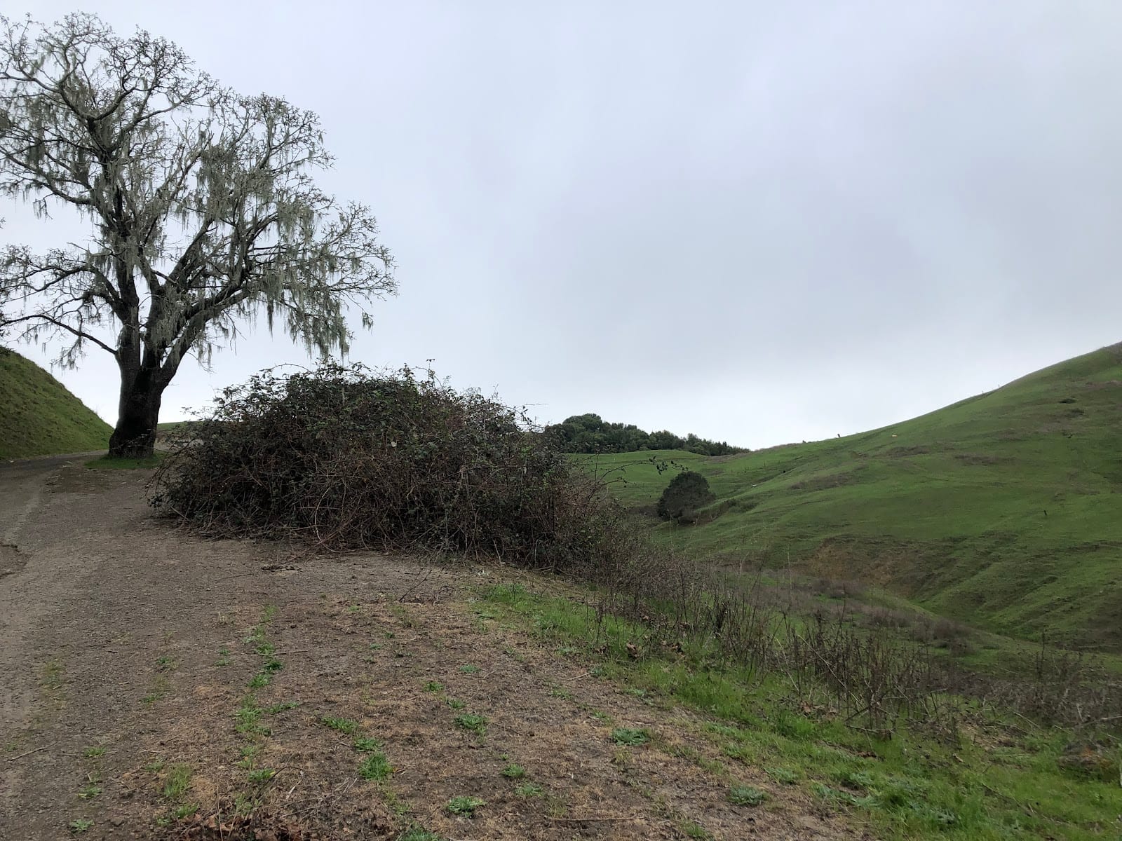 Timberhill Park, photo 3