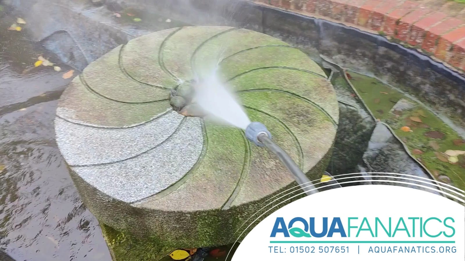 AquaFanatics - The Pond and Aquatic Specialists, photo 3