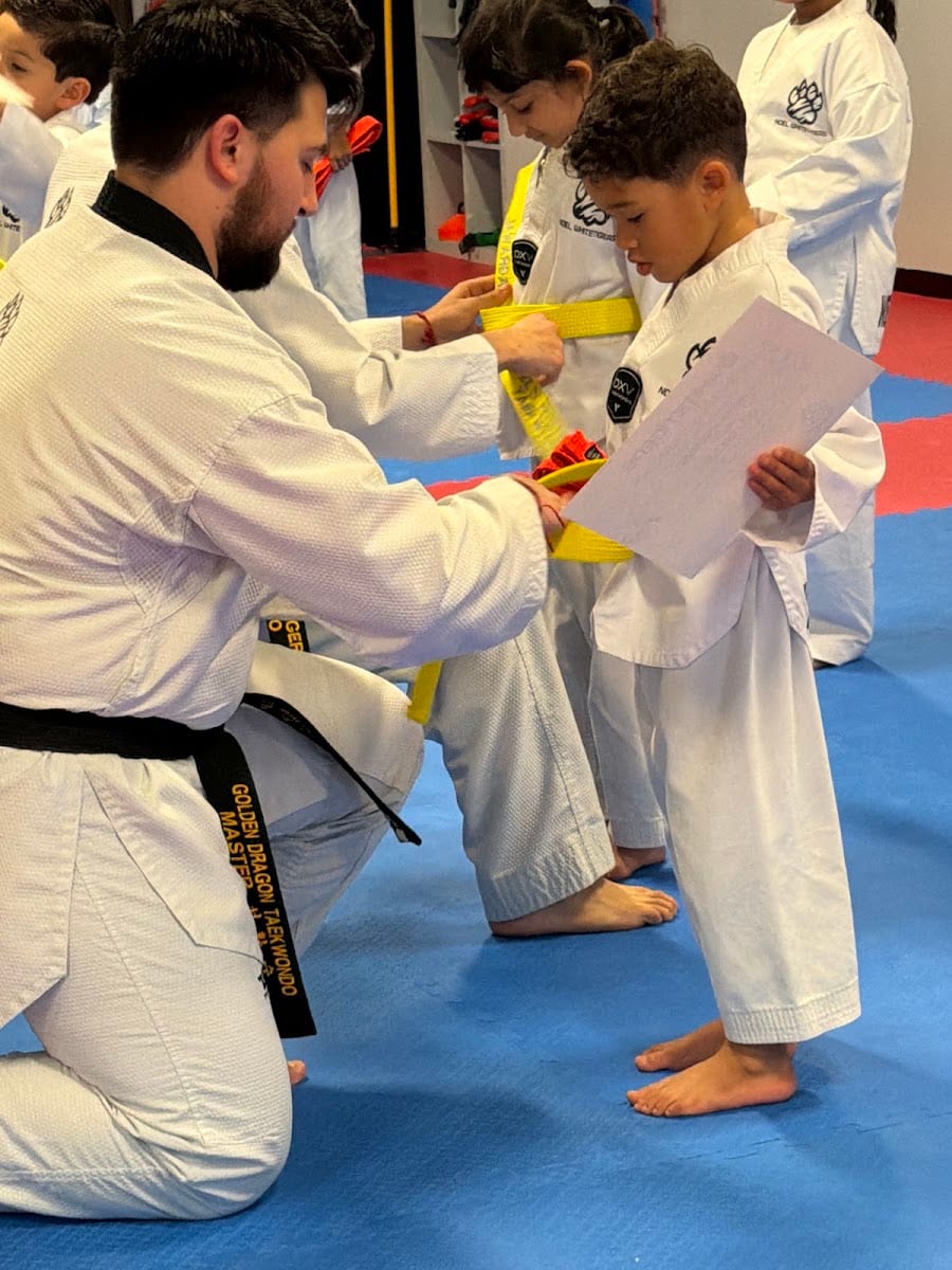 Noel’s WhiteTigers Taekwondo, photo 2