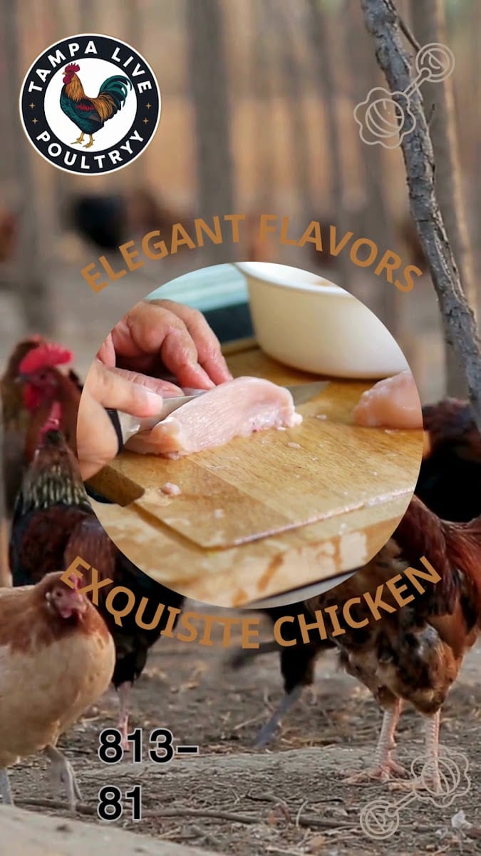 Tampa Live Poultry, photo 3