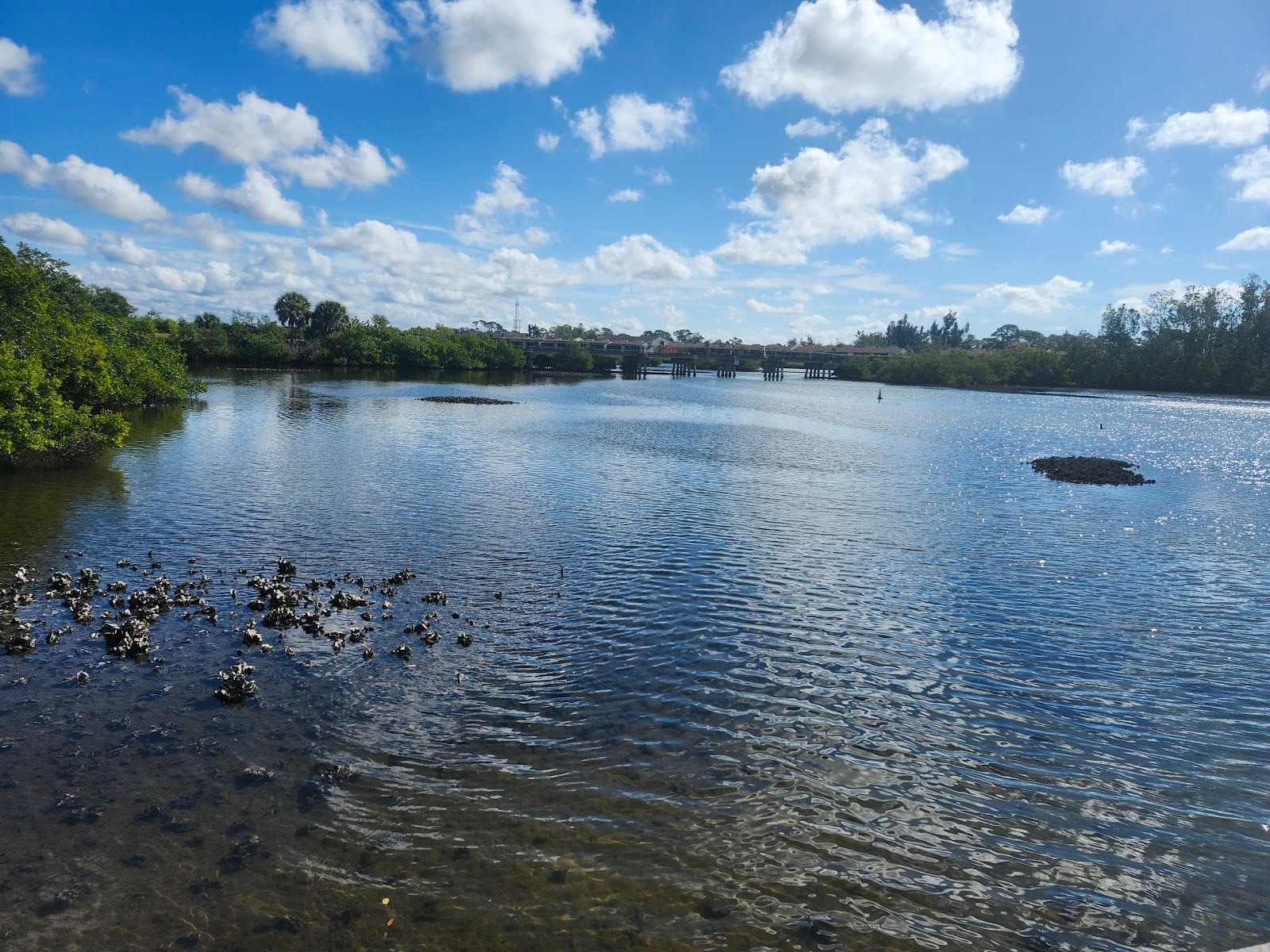 Nokomis Community Park, photo 3