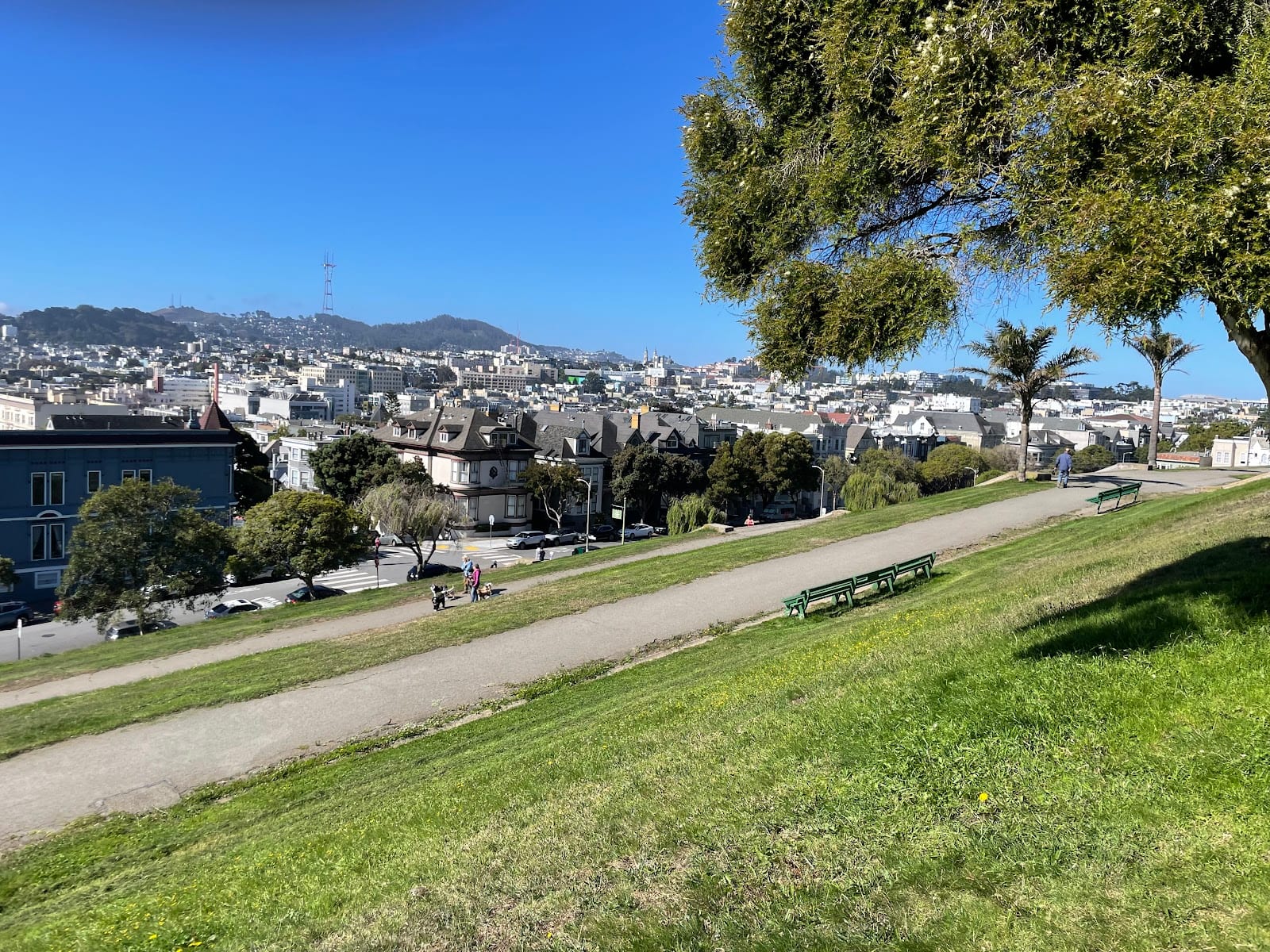 Alta Plaza Park