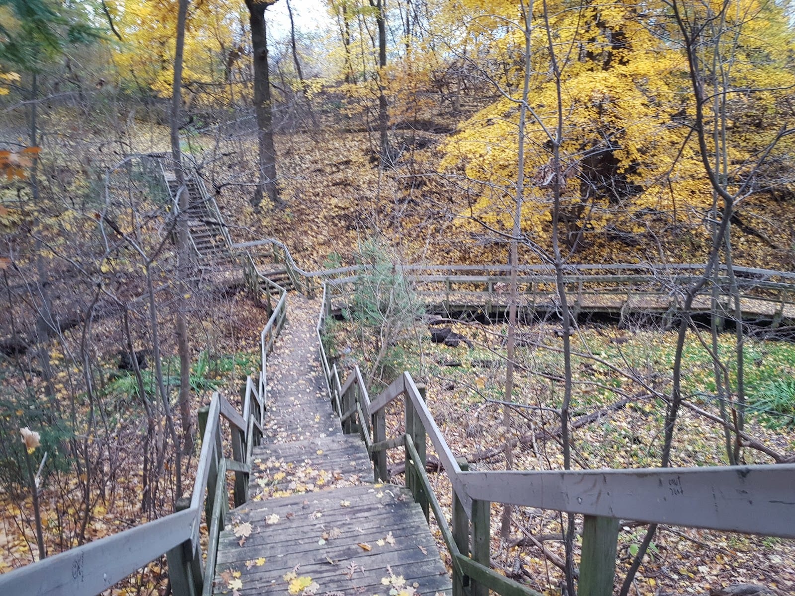 Merrill Bridge Road Park, photo 3