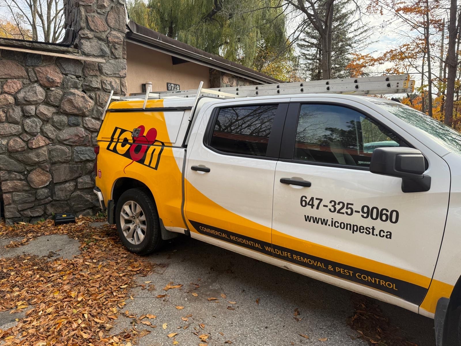 Icon pest control & wildlife removal in Richmond Hill