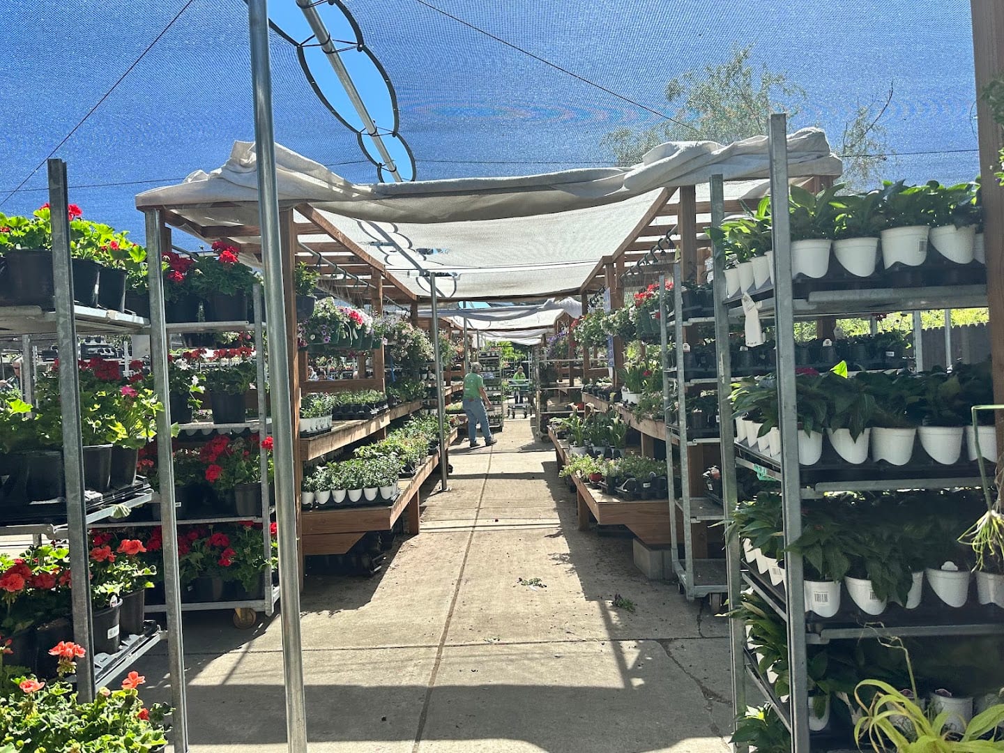 The Big Tool Box and Highlands Garden Center-Centennial, CO, photo 4
