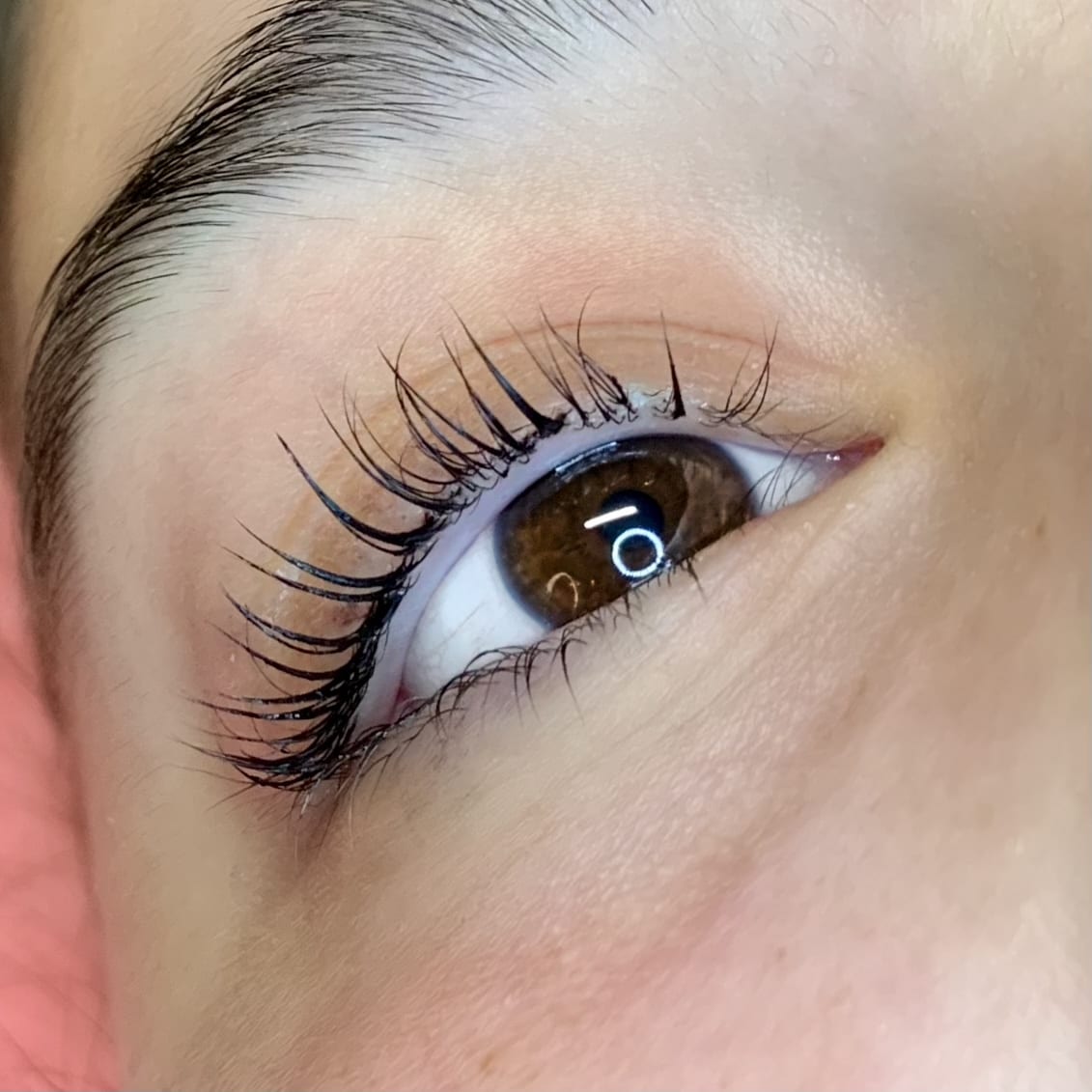 THE LASH SHOP, photo 2
