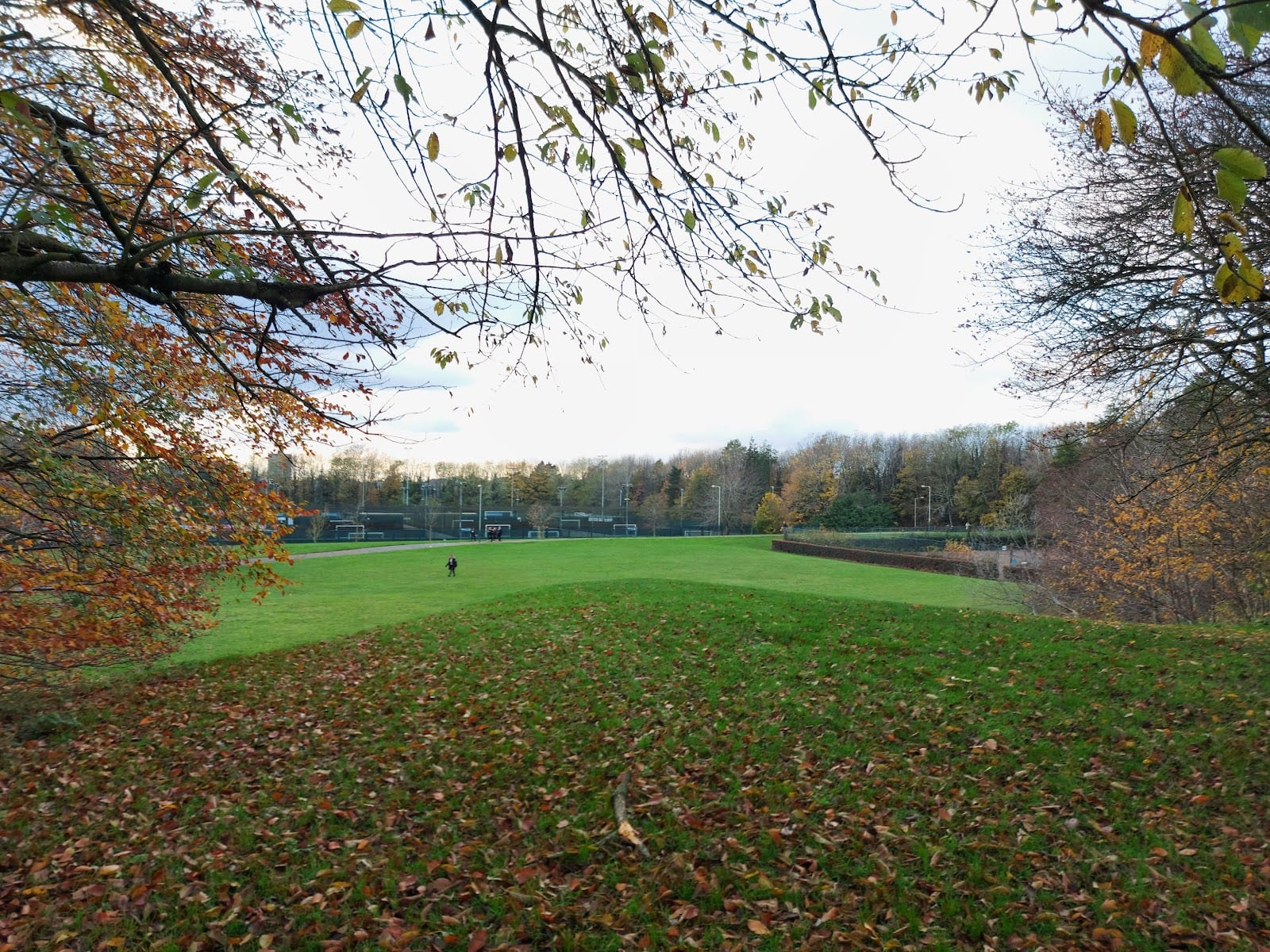 Bowthorpe Park