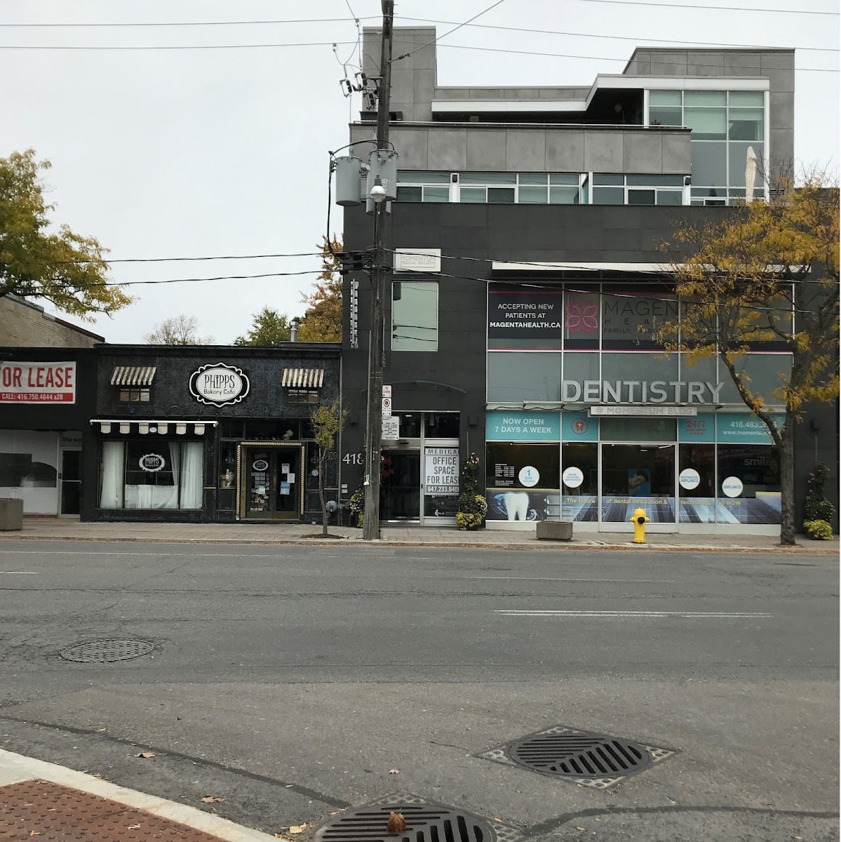 My Toronto Chiropractor - Dr. Leslie Horowitz, photo 4