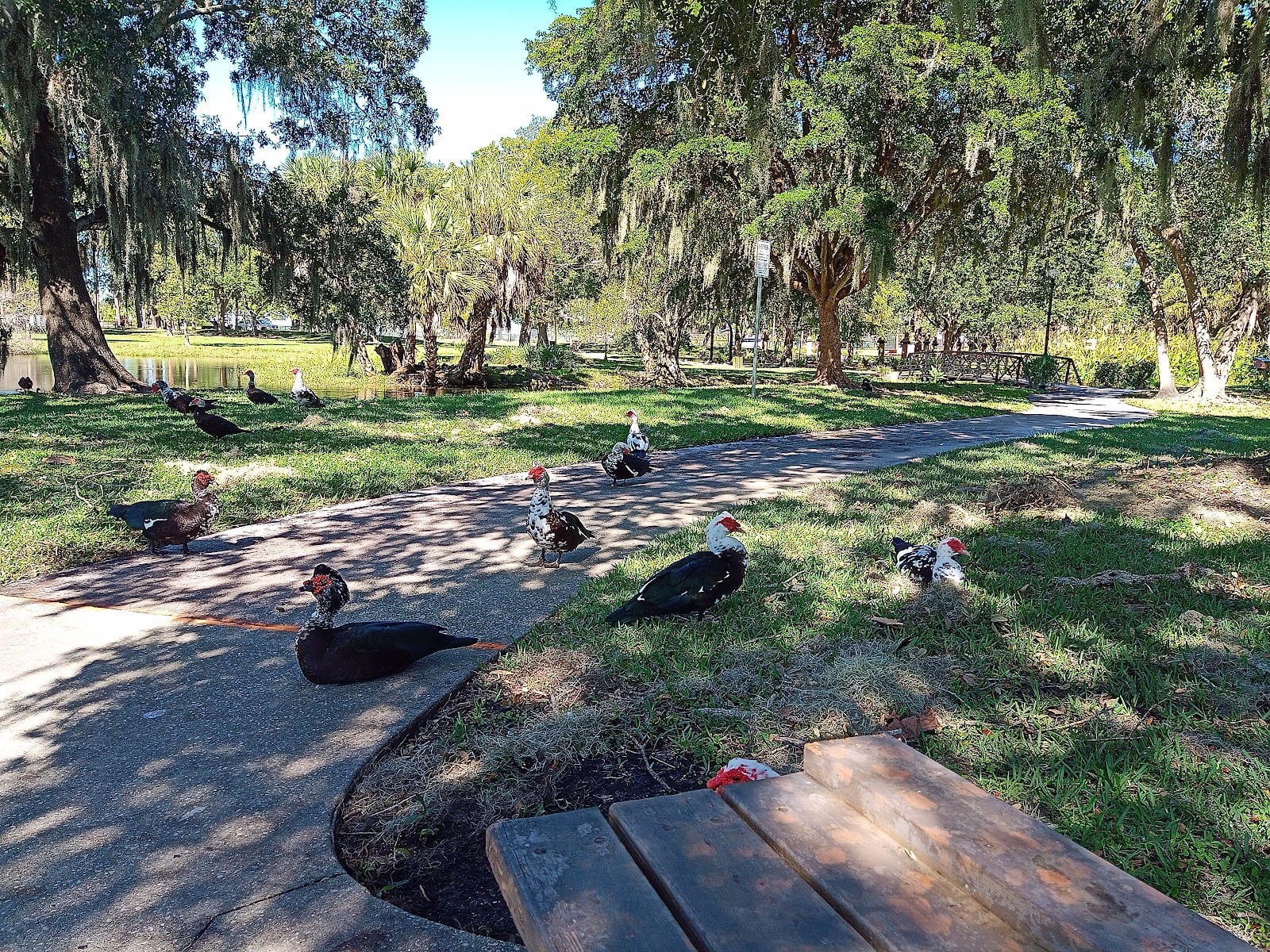 Tennis Courts at Gillespie Park, photo 3