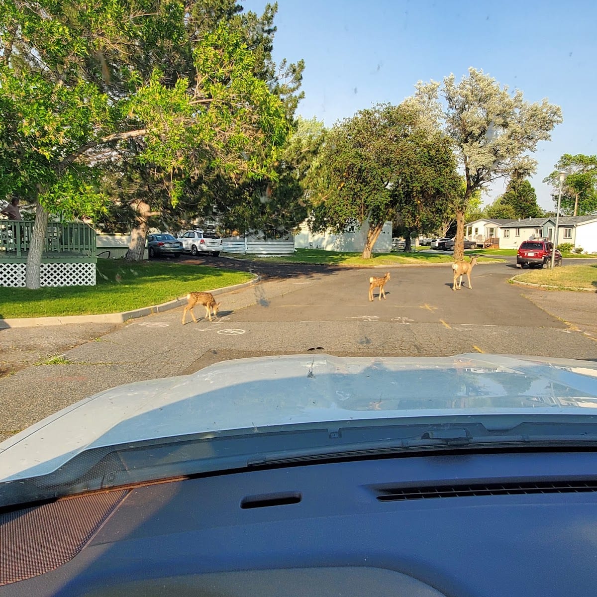 McHugh Mobile Home Park