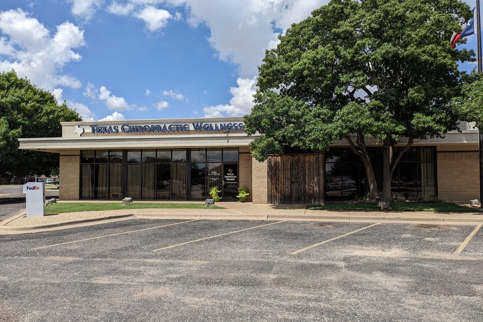 Texas Chiropractic Wellness