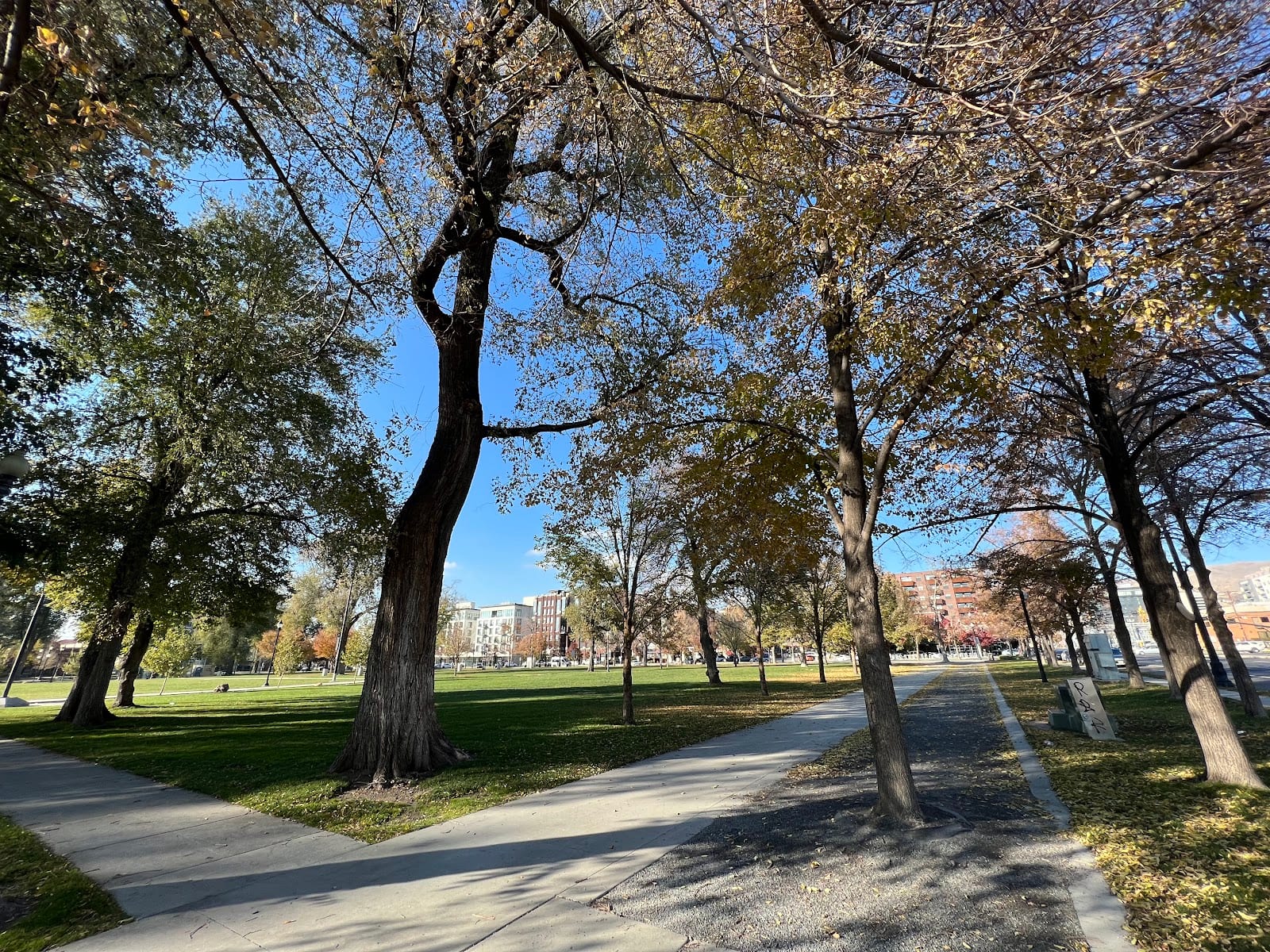 Pioneer Park