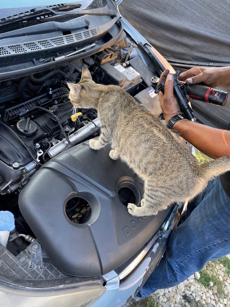 ATX mechanic, photo 2
