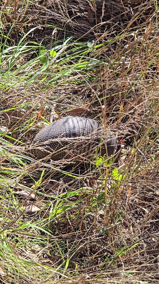 Myakkahatchee Creek Greenway Nature Trail, photo 3