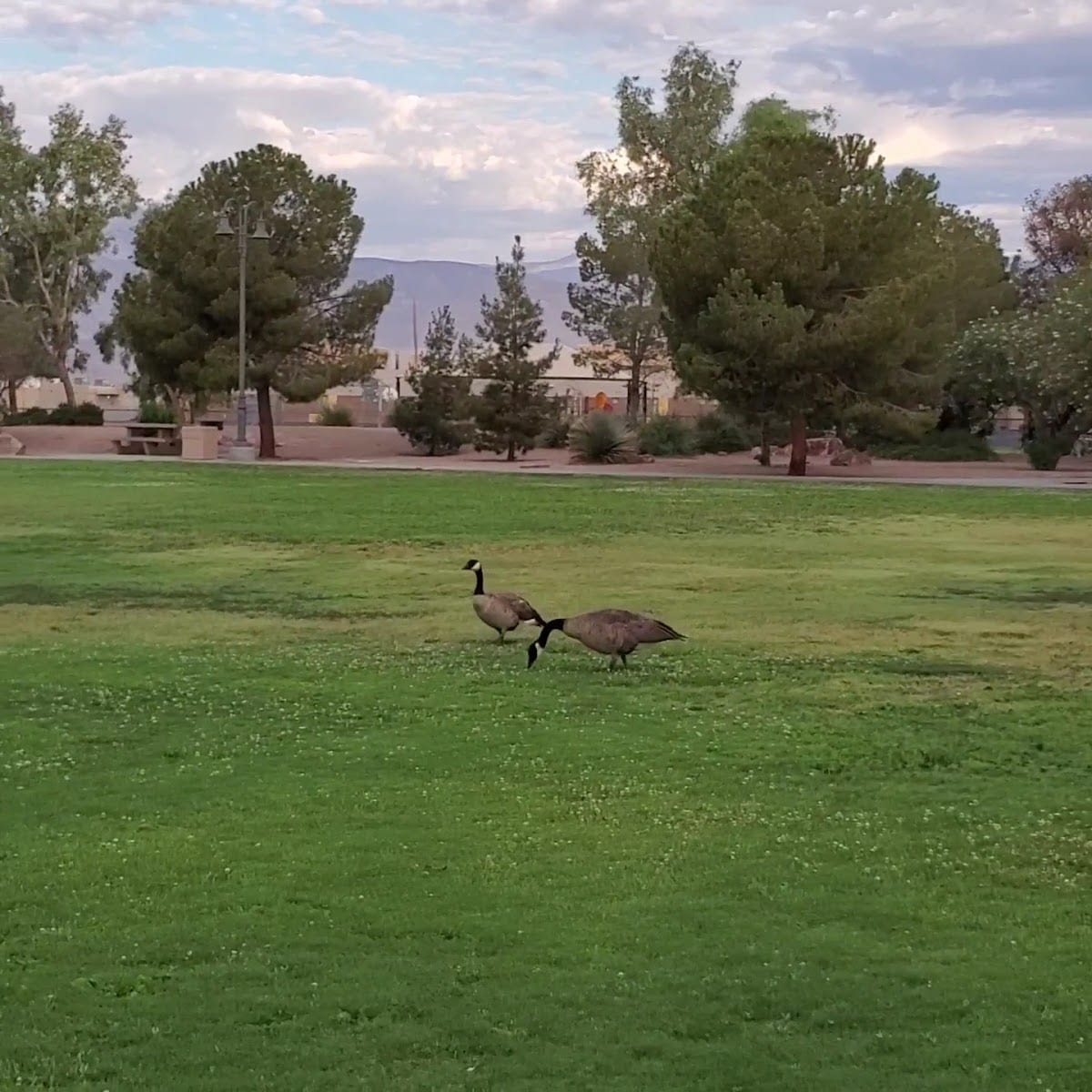 Polly Gonzalez Park, photo 2