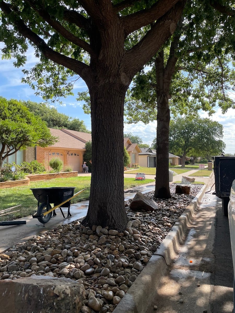 Tomcat's Tree Service LLC, photo 3