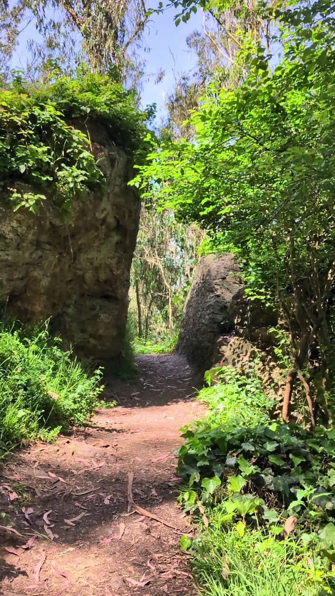 Edgewood Trail, photo 2