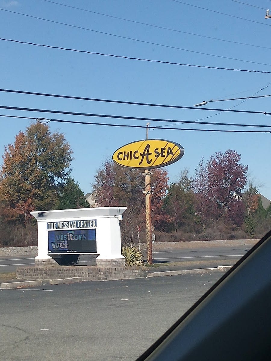 Chic A Sea, photo 2