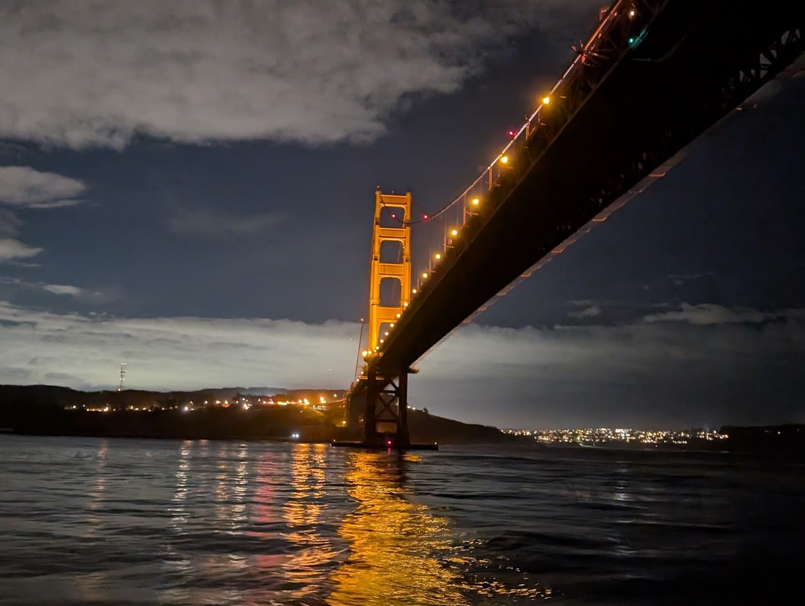 City Cruises, photo 2