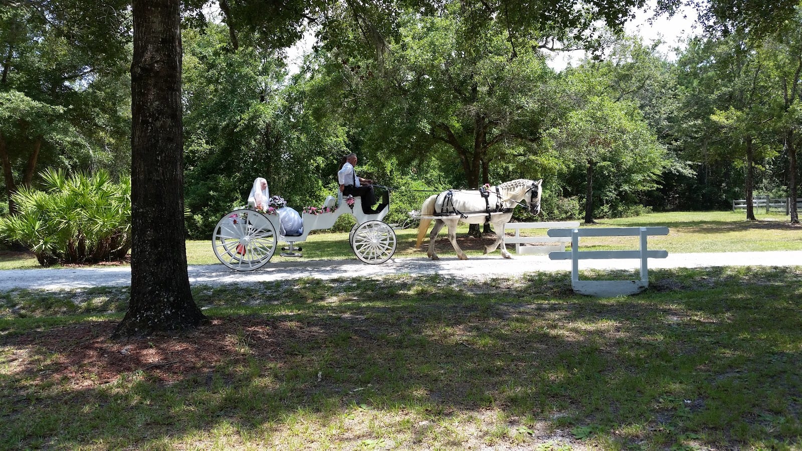 Florida Barn Weddings, photo 2