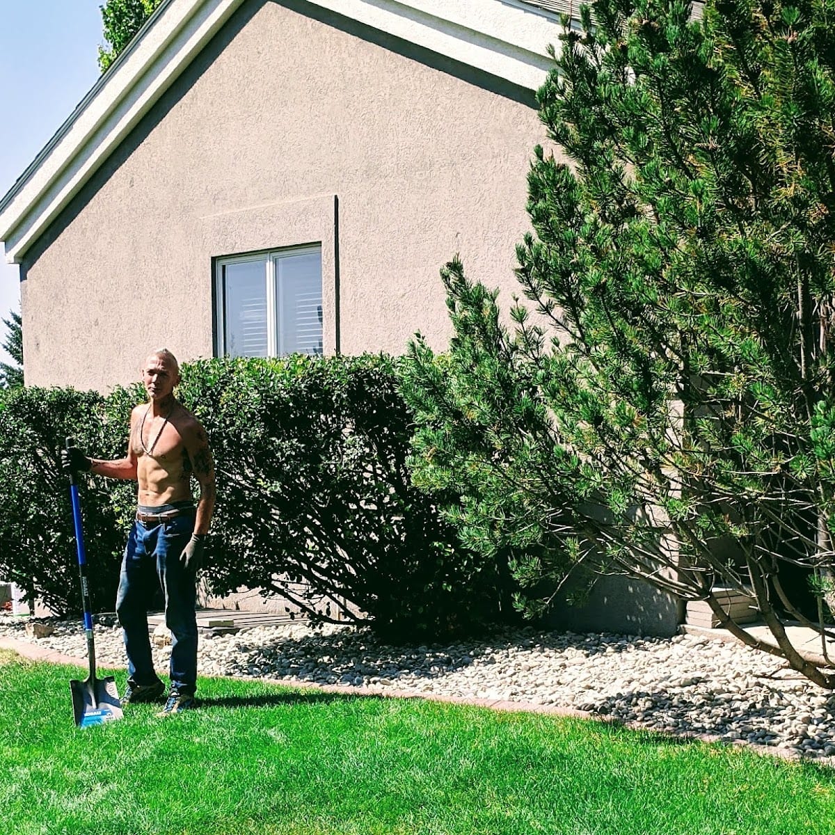 Slims demo & landscaping, photo 4