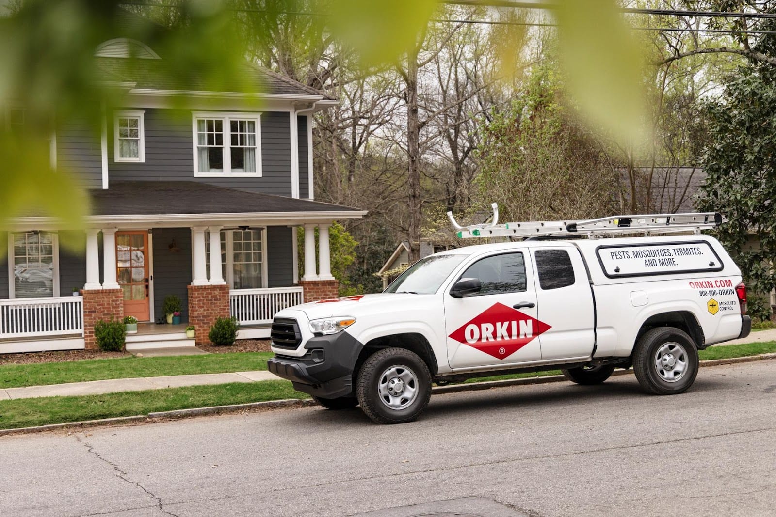 Orkin, photo 4