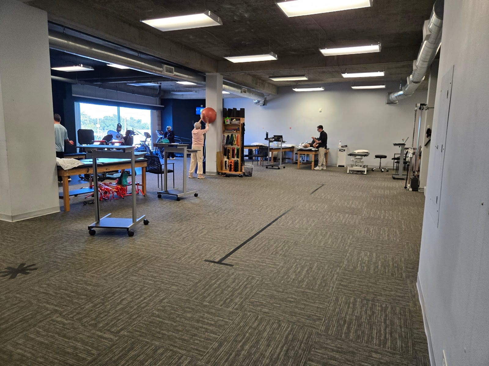 Optimal Performance & Physical Therapies - Central Tampa, photo 3