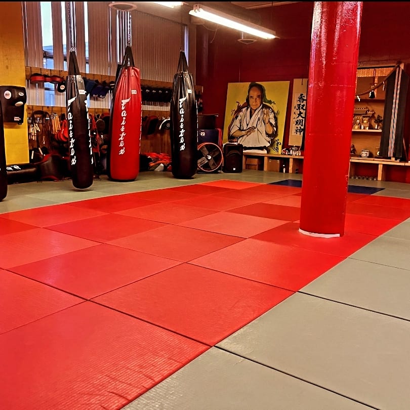 Mas Oyama’s Muteki Kyokushin, photo 2
