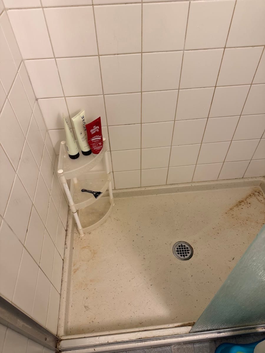 Green Olive Housekeeping & Janitorial Services, photo 2