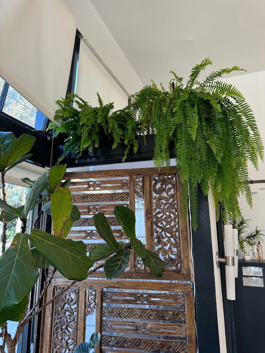Lyon Street Salon, photo 3