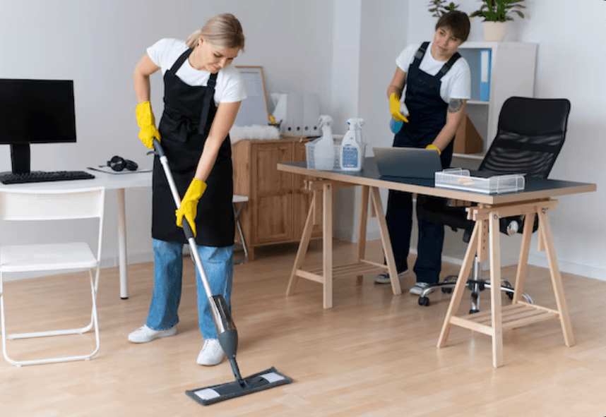 Flat Fee House Cleaners Sarasota