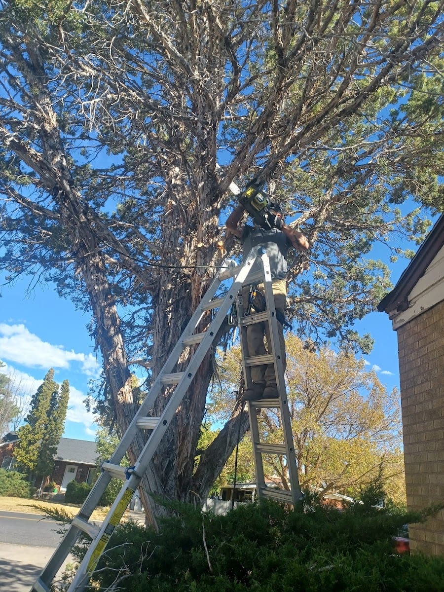 Watkins Handyman Company, photo 2