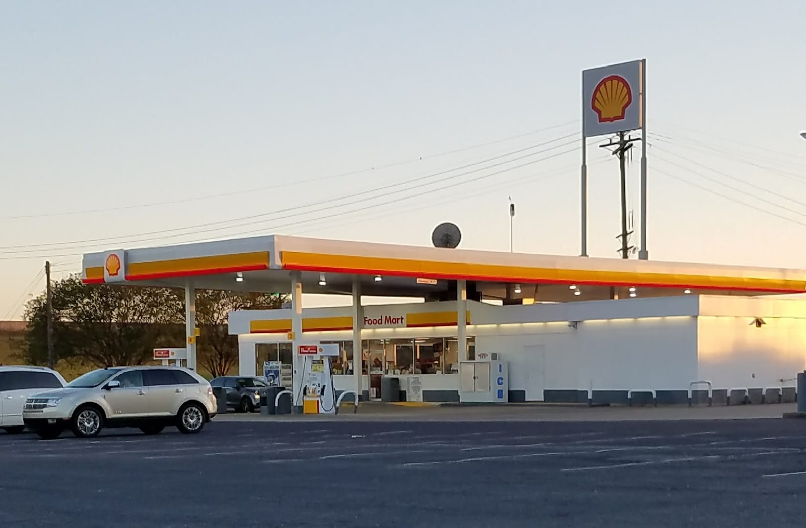 Shell, photo 4