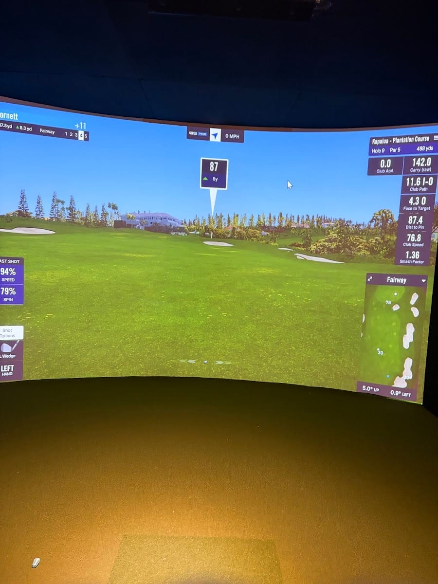 Swing Shift Golf Club