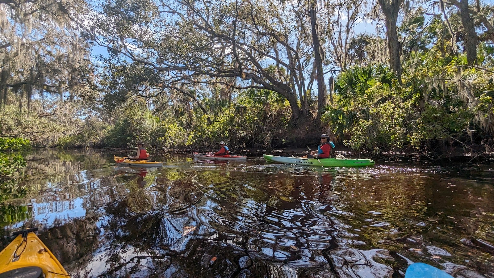 Curry Creek Preserve: West Entrance
