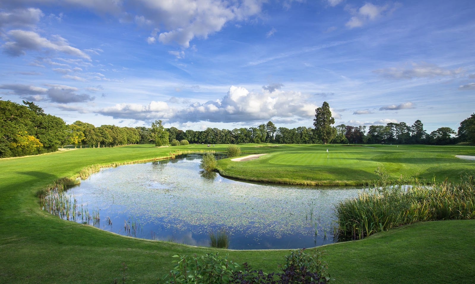 Aldwickbury Park Golf Club, photo 2