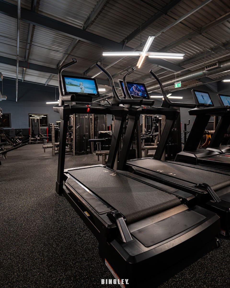 Ab Salute Gym