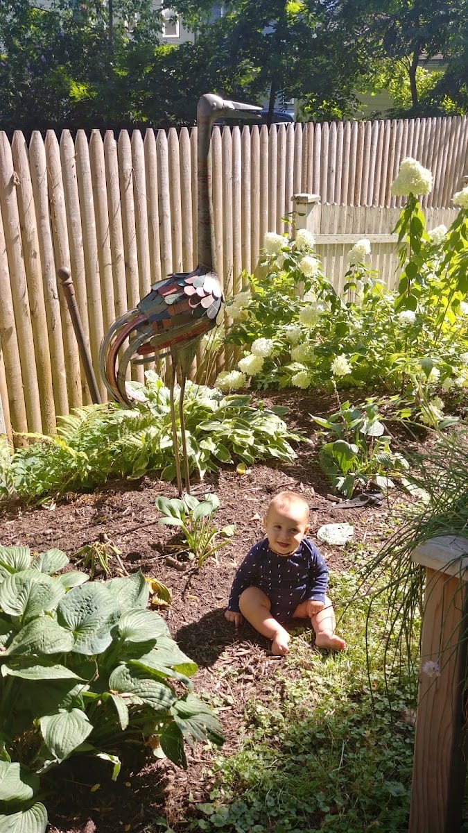 Artful Gardener LLC, photo 3