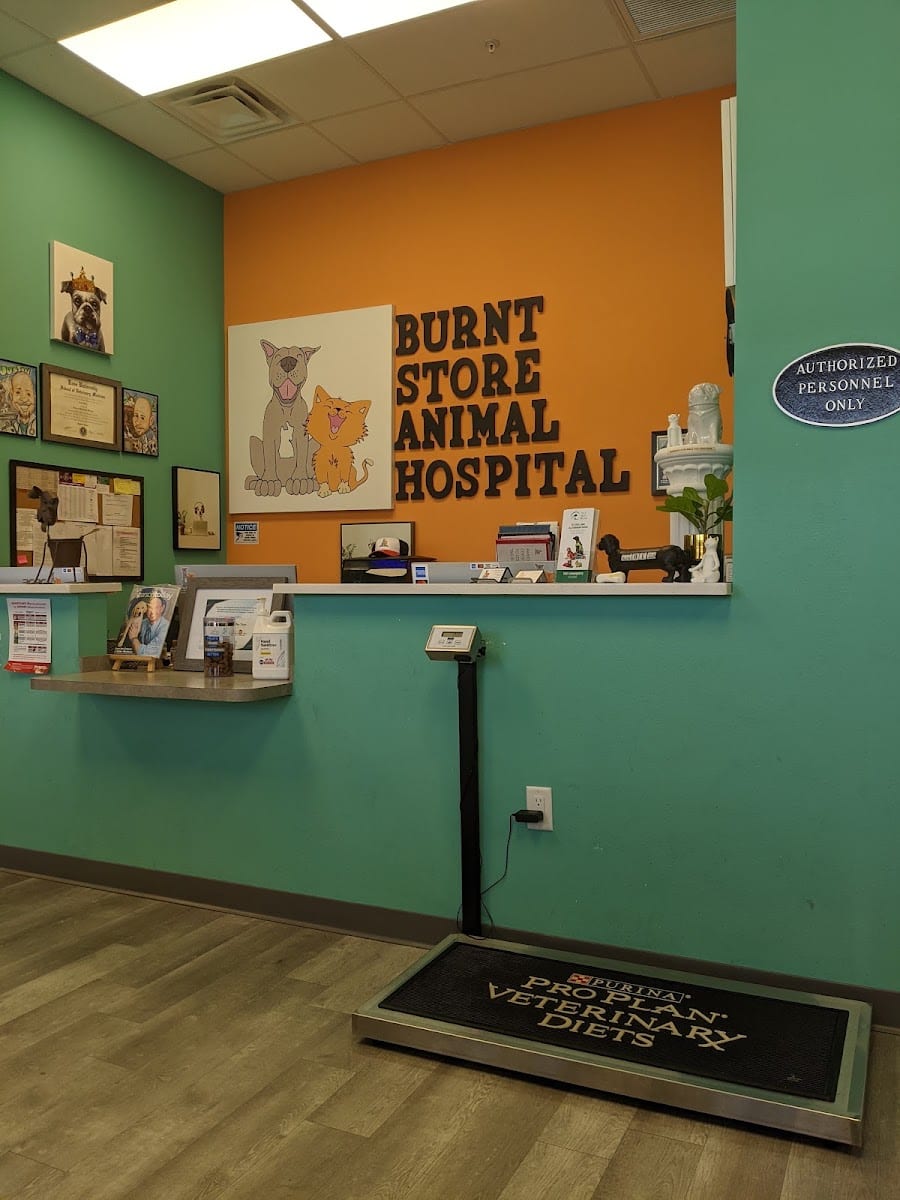 BURNT STORE ANIMAL HOSPITAL, photo 2