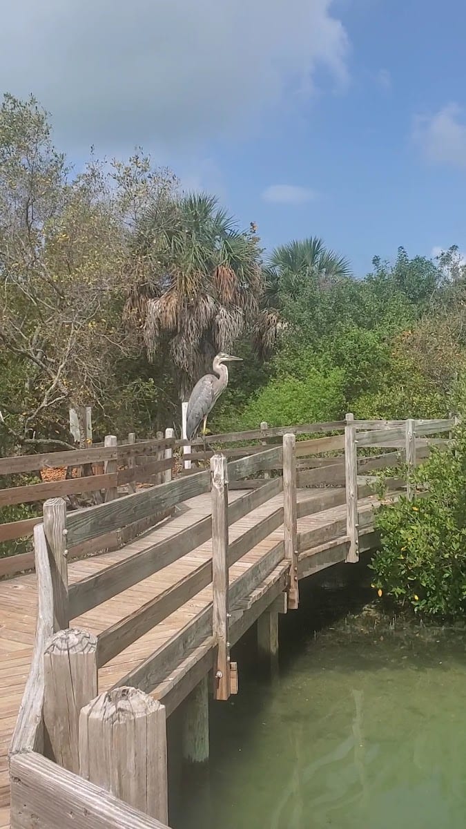 Quick Point Nature Preserve, photo 2