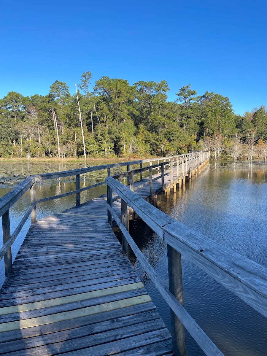 University of South Alabama Disc Golf Course, photo 3