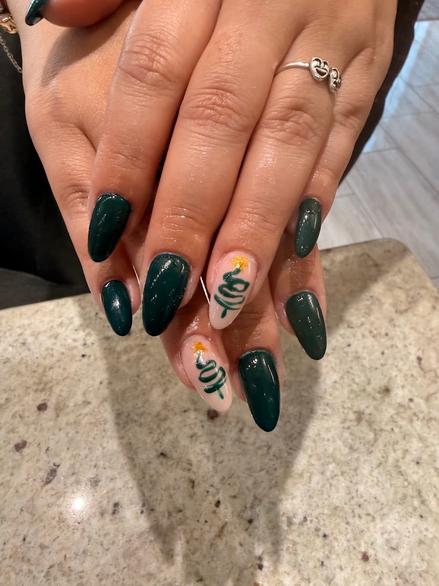 Venus Nails and Day Spa Tampa, photo 4