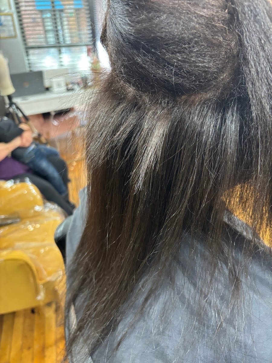 Curl Revolution Salon