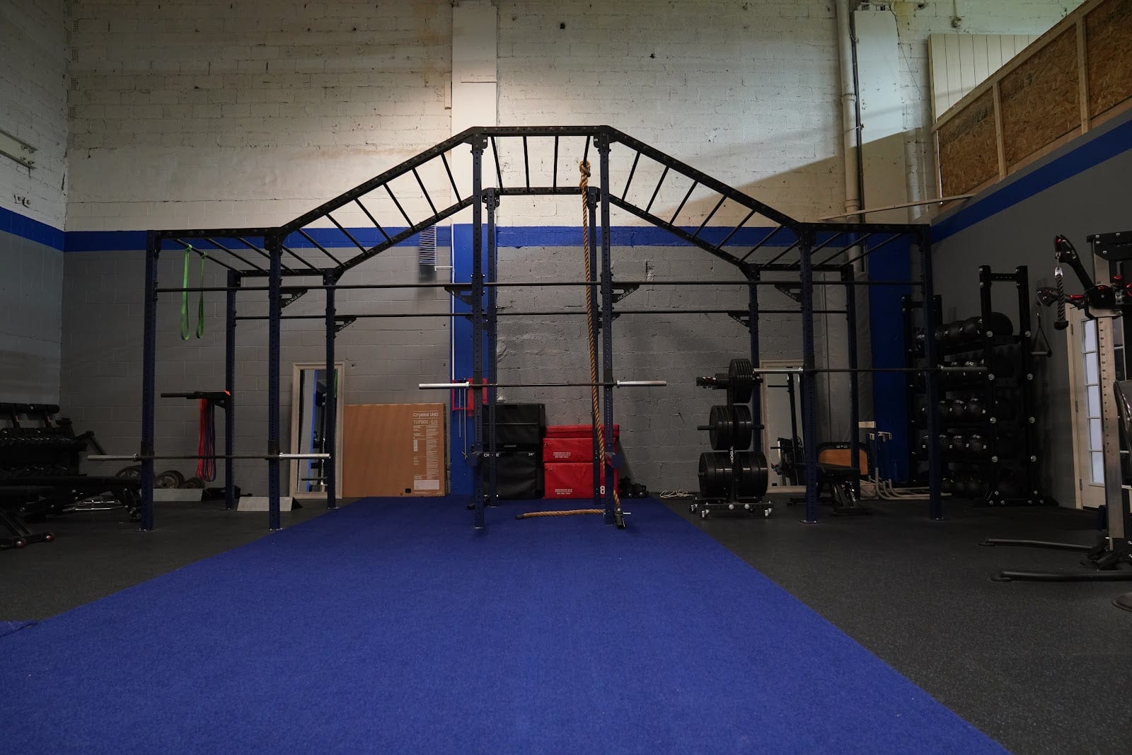 Next Pro Training