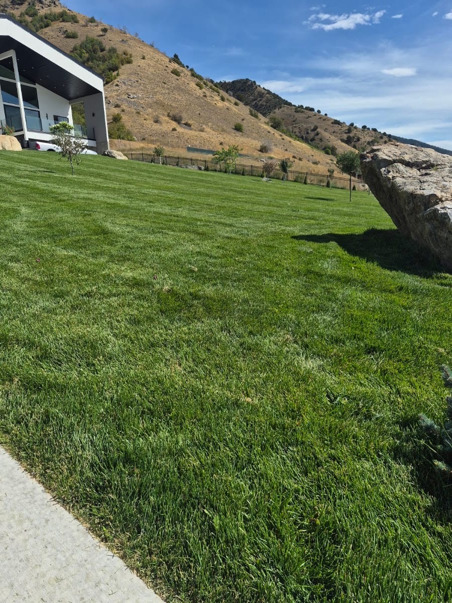 N & J Landscaping LLC