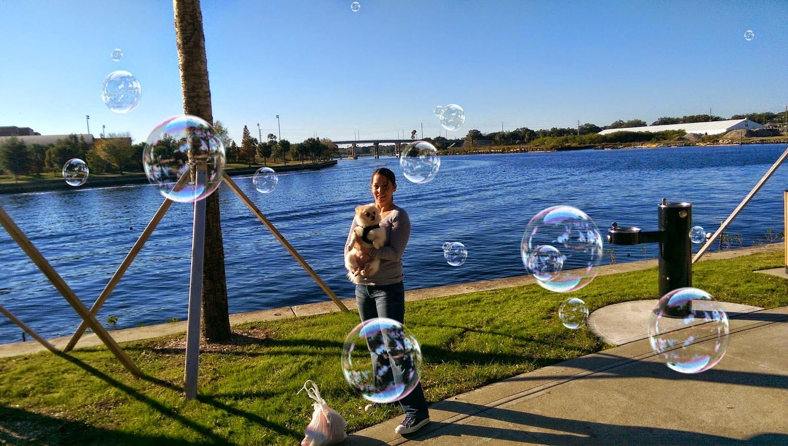 Queenie's Dog Park, photo 2